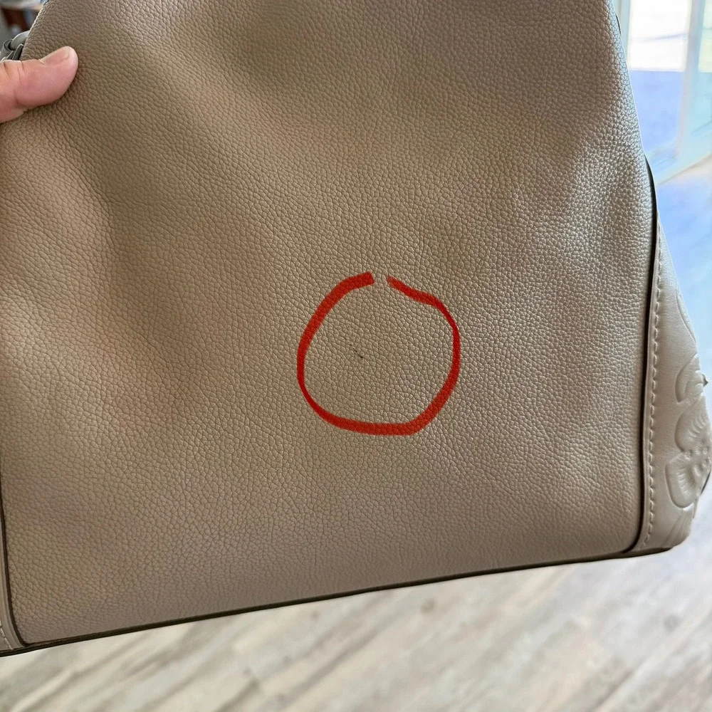 Coach Edie 31 Stone Pebbled Leather Shoulder Bag Tea Rose Tooling 12034